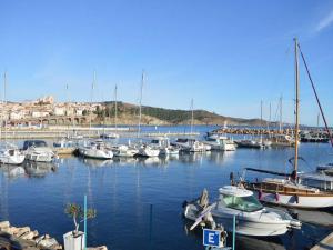 a bunch of boats are docked in a harbor at Appartement Banyuls-sur-Mer, 2 pièces, 4 personnes - FR-1-225C-21 in Banyuls-sur-Mer