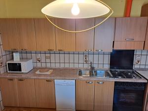 Kuchyň nebo kuchyňský kout v ubytování CONCO HOUSE + 3 fotografie