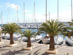 un grupo de palmeras en un puerto deportivo con barcos en Appartement Gruissan, 2 pièces, 4 personnes - FR-1-229-292, en Gruissan