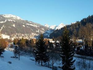 una ciudad en la nieve con árboles y montañas en Appartement Le Grand-Bornand, 2 pièces, 6 personnes - FR-1-241-111, en Le Grand-Bornand