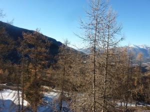 un arbre dans la neige avec des montagnes en arrière-plan dans l'établissement Appartement Les Orres, 2 pièces, 6 personnes - FR-1-322-204, aux Orres