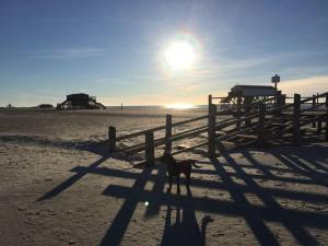 Fotografie z fotogalerie ubytování Grosszuegige-Ferienwohnung-im-OT-Bad-Strandnaehe v destinaci Sankt Peter-Ording