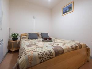 a bedroom with a bed with a blanket on it at Appartement Saint-Lary-Soulan, 2 pièces, 6 personnes - FR-1-296-162 in Saint-Lary-Soulan