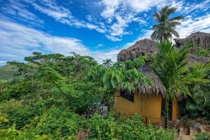a house in the jungle with a palm tree at Tropical Cottage En Eco Casa Algana in El Limón