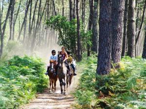 a group of people riding horses down a dirt road at Appartement Vieux-Boucau-les-Bains, 2 pièces, 4 personnes - FR-1-379-27 in Vieux-Boucau-les-Bains