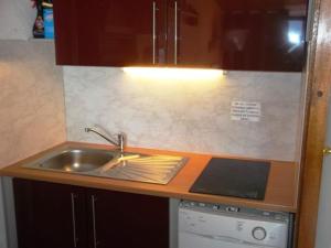 Forest des BaniolsにあるMaxi-studio 6 pers avec balcon sud, proche commerces et sports, accès pistes navette gratuite - FR-1-262-155のキッチン(シンク、コンロ付)