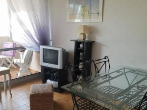 uma sala de estar com uma televisão e uma mesa de vidro em Appartement Argelès-sur-Mer, 2 pièces, 4 personnes - FR-1-388-31 em Argelès-sur-Mer