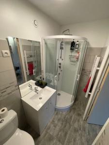 La salle de bains est pourvue d'une douche, d'un lavabo et de toilettes. dans l'établissement Superbe appartement terrasse wifi, à Paroy-sur-Tholon