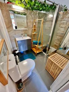 uma casa de banho com um WC, um lavatório e um chuveiro em City Side-Idéal professionnels climatisé-Tout équipé em Fort-de-France