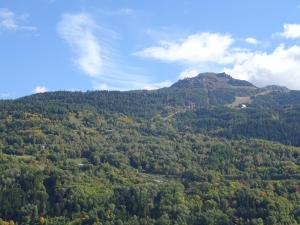an aerial view of a mountain with trees at Appartement Bourg-Saint-Maurice, 2 pièces, 4 personnes - FR-1-411-520 in Bourg-Saint-Maurice