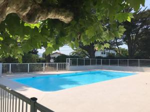 a swimming pool in a yard with a tree at Appartement Cosy 3* avec Terrasse, Piscine et Parking Privé à 10 min de la Plage d’Erromardie - FR-1-4-524 in Saint-Jean-de-Luz +9 photos