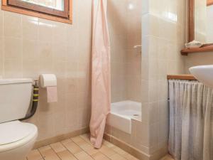 a bathroom with a toilet and a shower and a sink at Grand studio mezzanine avec jardin et parking, 4 pers. - Villar-Saint-Pancrace - FR-1-330C-89 in Villar-Saint-Pancrace