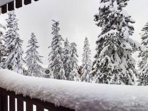 a group of trees covered in snow next to a fence at Studio Montvalezan-La Rosière, 1 pièce, 4 personnes - FR-1-398-528 in La Rosière