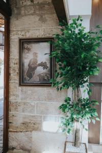 obraz mężczyzny na ścianie z rośliną w obiekcie Fibar Hotel Zincirlihan w mieście Aydın
