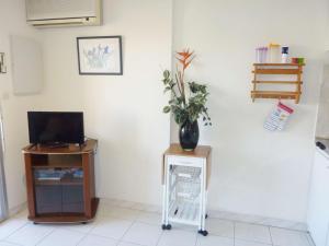 um quarto com uma televisão e um vaso sobre uma mesa em Studio Marseillan-Plage, 1 pièce, 4 personnes - FR-1-387-137 em Marseillan