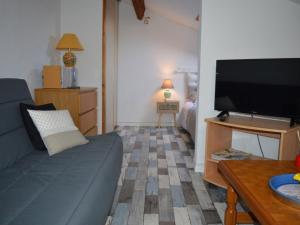 een woonkamer met een bank en een flatscreen-tv bij Maison Saint-Cyprien, 2 pièces, 6 personnes - FR-1-225D-95 in Saint-Cyprien