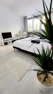 ein Schlafzimmer mit einem Bett und zwei Topfpflanzen in der Unterkunft Victoriei Central Studio in Bukarest