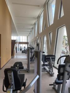 Fitness centrum a/nebo fitness zařízení v ubytování Altair Colombo - View, Location, Ultra Luxury!