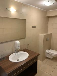 a bathroom with a sink and a toilet at Nimród Hotel és Ètterem in Mosonmagyaróvár