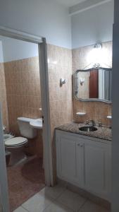 a bathroom with a sink and a toilet and a mirror at Nieva 4M in San Salvador de Jujuy +8 photos