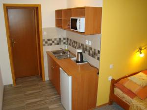 Kuhinja ili čajna kuhinja u objektu Willa Stenia Apartamenty