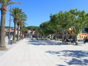 a street with palm trees on a sunny day at Appart familial 6 pers Banyuls-sur-Mer clim, parking privé, proche plages - FR-1-225C-57 in Banyuls-sur-Mer