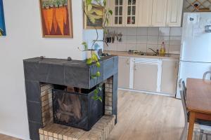 a kitchen with a fireplace in the middle of a kitchen at Modern and Stylish Reykjavik Apartment in Reykjavík