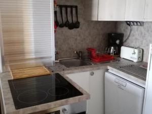 Appartement Les Adrets-Prapoutel, 2 pièces, 5 personnes - FR-1-557-66 في Les Adrets: مطبخ مع مغسلة وموقد فرن علوي