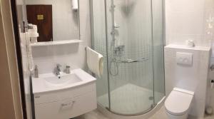 La salle de bains est pourvue d'une douche, d'un lavabo et de toilettes. dans l'établissement Apartments Ana Trogir, à Trogir