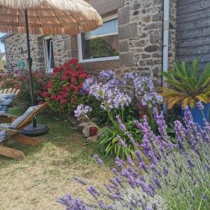 - un jardin avec des fleurs colorées et un parasol dans l'établissement Aux Couleurs de la Baie, à Cherrueix