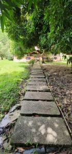 a stepping stone path in a park with a tree at Hostel Finca La Gordita in Calabazo