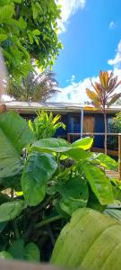 Galería fotográfica de Tuava Lodge en Hanga Roa