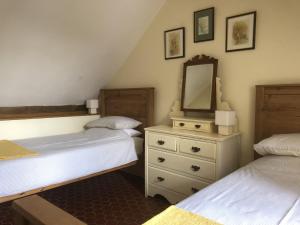 um quarto com 2 camas e uma cómoda com um espelho em Les Rossignols em Saint-Jeanvrin
