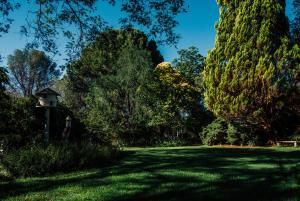 a park with trees and a bird house in the grass at Farm stay at Fennel Cottage on Haldon Estate in Bloemfontein