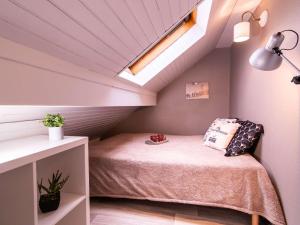 a small attic room with a bed and a skylight at Appartement Saint-Lary-Soulan, 2 pièces, 4 personnes - FR-1-296-359 in Saint-Lary-Soulan