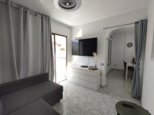 een woonkamer met een bank en een flatscreen-tv bij Vivienda Agaete Parque in Playa del Inglés