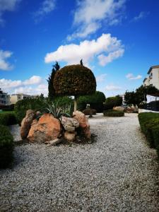 a garden with rocks and an umbrella in the middle at Escape and relax cozy apartment in Pafos! in Mandria