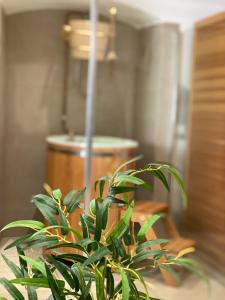 a green plant sitting next to a wooden barrel at Babyhotel Karolínka, wellness in Vranov nad Dyjí