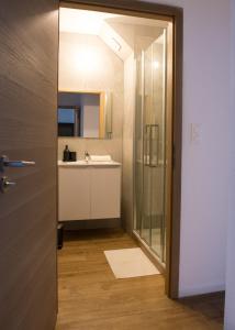 a bathroom with a sink and a mirror at La Pomme du Président I in Sélestat