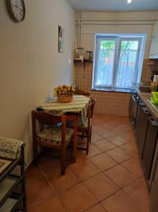 Kuchyň nebo kuchyňský kout v ubytování Apartman Nadia