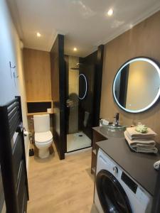 uma casa de banho com um lavatório, um WC e um espelho. em Magnifique 3 étoiles en hyper centre avec place privée em Aix-les-Bains