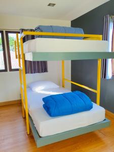 - un lit superposé avec un oreiller sur la couchette inférieure dans l'établissement Doodle Lodge Chiang Mai, à Chiang Mai