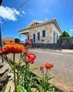 Gallery image of Madeira Inn Casa do Vale in Calheta