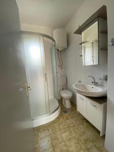 een badkamer met een douche, een toilet en een wastafel bij Holiday home Povile in Novi Vinodolski