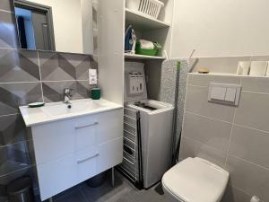 une petite salle de bain avec un lavabo et des toilettes dans l'établissement Charmant T1 bis à Cambo-les-Bains avec terrasse, proche des thermes, pour 2 personnes - FR-1-495-94, à Cambo-les-Bains 8 autres photos