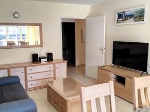 ein Wohnzimmer mit Sofa und Fernseher in der Unterkunft T3 68m², 4*, climatisé avec loggia, proche mer et commerces – Bormes-les-Mimosas - FR-1-610-14 in Bormes-les-Mimosas