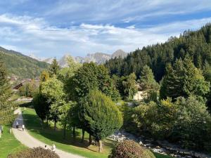 a park with trees and a river and mountains at Appartement Le Grand-Bornand, 1 pièce, 3 personnes - FR-1-241-238 in Le Grand-Bornand