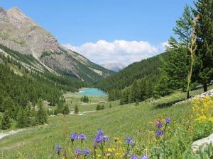 a view of a valley with a river and flowers at Appartement Orcières Merlette, 3 pièces, 8 personnes - FR-1-262-170 in Orcières