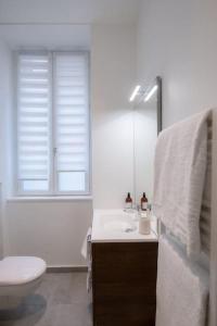 uma casa de banho com um lavatório, um WC e um espelho. em Opéra 8 - Superbe studio refait à neuf proche place des Terreaux em Lyon