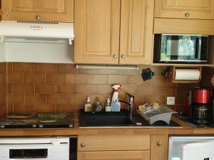 Kuchyň nebo kuchyňský kout v ubytování Studio avec accès piscine, Saint-Jean-d'Aulps - FR-1-573-44